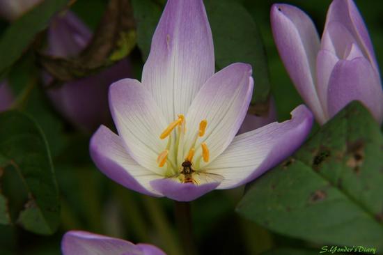 DSC09847.jpg
