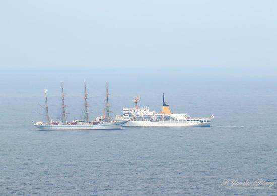 071A8798.jpg