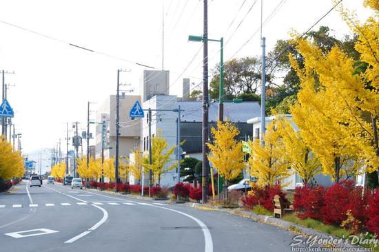 DSC06602.jpg