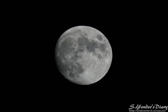 DSC07124.jpg