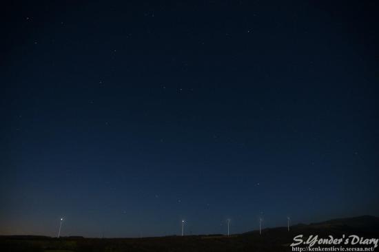 DSC07196 (2).jpg