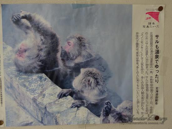 DSC08877.jpg