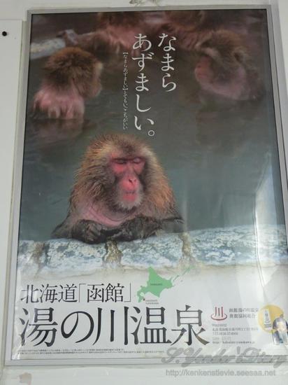 DSC08881.jpg