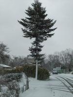 DSCF0295.jpg