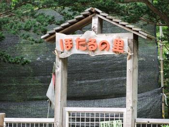 DSCF2028.jpg