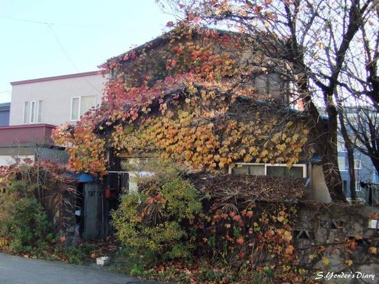 DSCF3901.jpg
