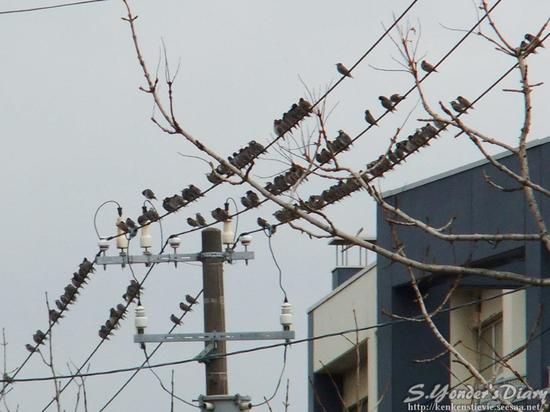 DSCF4365.jpg