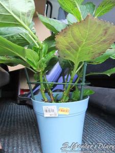 DSCF6183.jpg