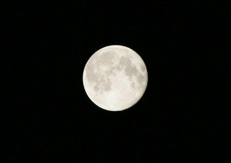 写真00049.jpg