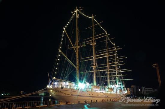 IMGP1233.jpg