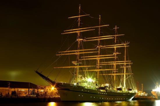 IMGP1846.jpg