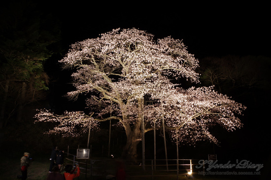IMGP9220-1.jpg